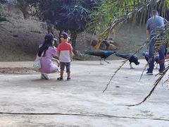 -西双版纳勐泐文化旅游区