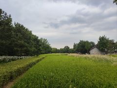 -北坞公园