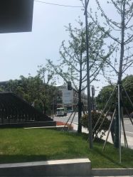 点击看大图 -上海首尔丽格医疗美容医院