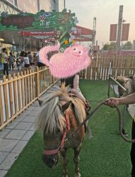 -萌宠亲子动物乐园(槐房万达店)