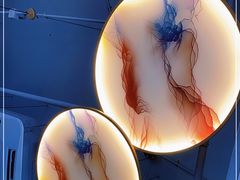 -禧鳳記·猪肚鸡火锅(玖洲道店)