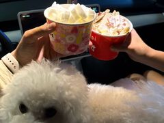 -初心炒酸奶(厚德品园店)