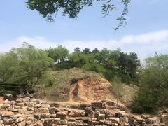 -莫子山公园
