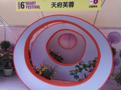 -奎星楼街