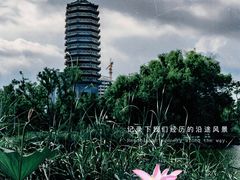-西海子公园