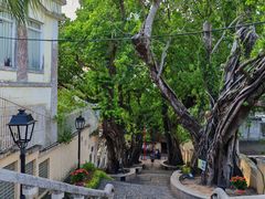 -龙环葡韵住宅式博物馆