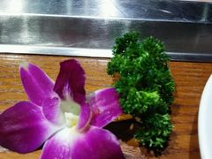 -洪焱重庆老火锅(万福花园店)