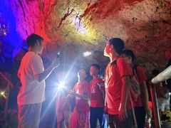 -大果情商(亲藤店)