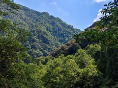 -花岩国家森林公园