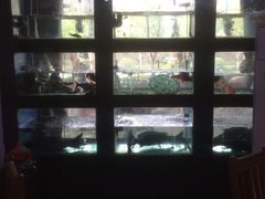 -全乐鱼馆·淳牌有机鱼直营店