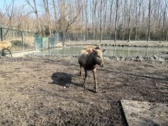 -溱湖国家湿地公园