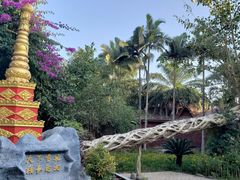 -瑞丽独树成林风景区