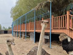 -鄂尔多斯野生动物园