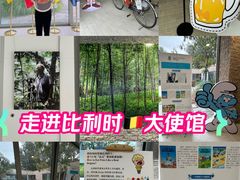 -三里屯东五街银杏大道
