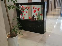 -上海中兴和泰酒店(张江高科地铁站店)