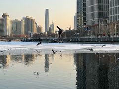 -天津之眼摩天轮