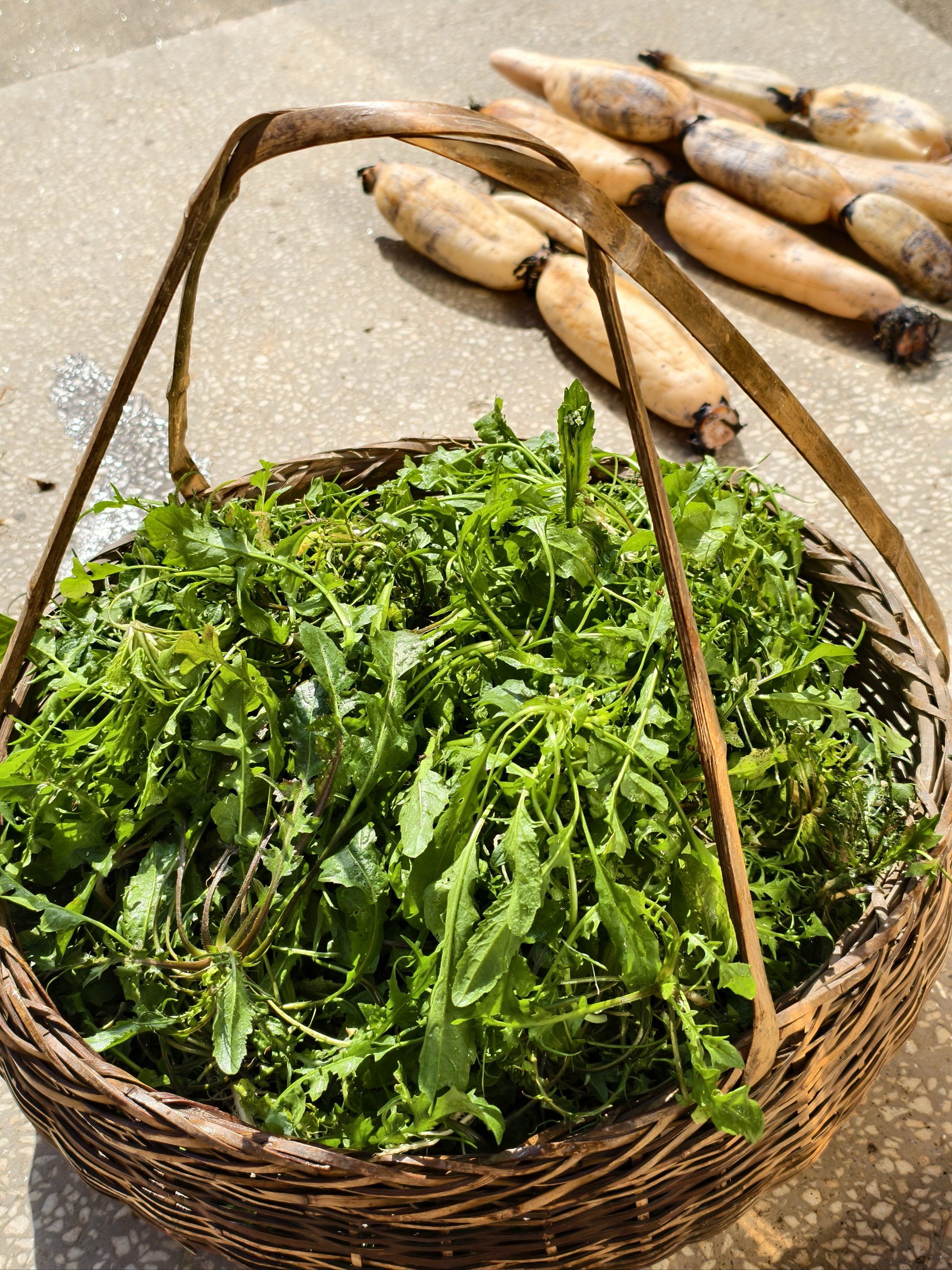 n哈哈哈
#0元玩转这座城
#纯天然绿色食品
#荠菜
#荠菜接子