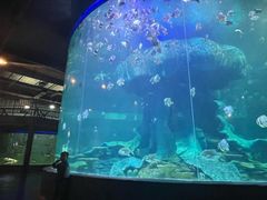 -龙谷湾旅游休闲度假区