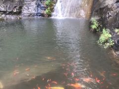 -十渡东湖港风景区