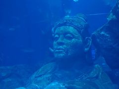 -暹罗海洋世界