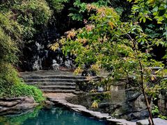 -大屏嶂森林公园