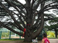 -国家植物园南园