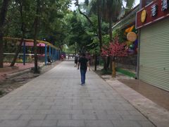 -南宁南湖公园