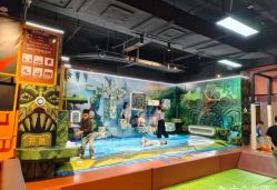 -卡通尼·Safari非洲探索乐园·生日会(金桥国际商业广场店)