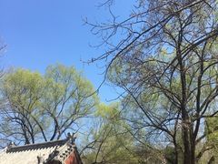 -井塘古村