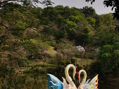 -云溪植物园