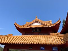-深圳仙湖植物园