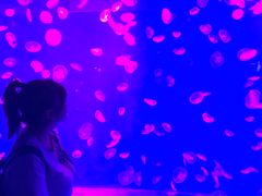 -皇家极地海洋世界-售票处