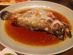 葱油蒸青斑-环球港凯悦 · 享悦中餐厅