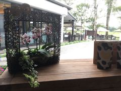 -瑞穗牧场