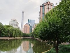 -团结湖公园