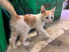 -四川大学(华西校区)