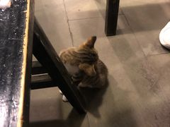 -酒友老火锅(渝中店)