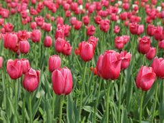 -长春公园(普阳街道)