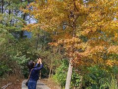 -福清灵石山国家森林公园