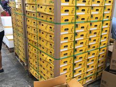 -西郊国际农产品交易中心