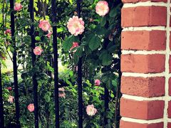 -上海市控江中学