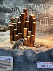 -Zoolung Zoolung动物主题公园(海信广场店)