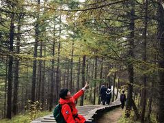 -苏木山森林公园