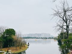 -洋湖国家湿地公园