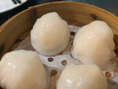添运来虾饺皇-添运来(茶园奥园广场店)