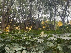 -苏州河梦清园环保主题公园