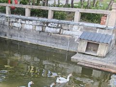 -苏州文庙(姑苏区)
