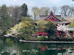 -井之头恩赐公园