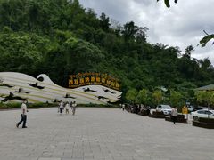 -西双版纳原始森林公园
