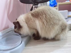 -摩瘦纤体订制减肥